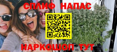 ALPHA PVP Ярославль