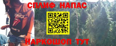 ALPHA PVP Ярославль