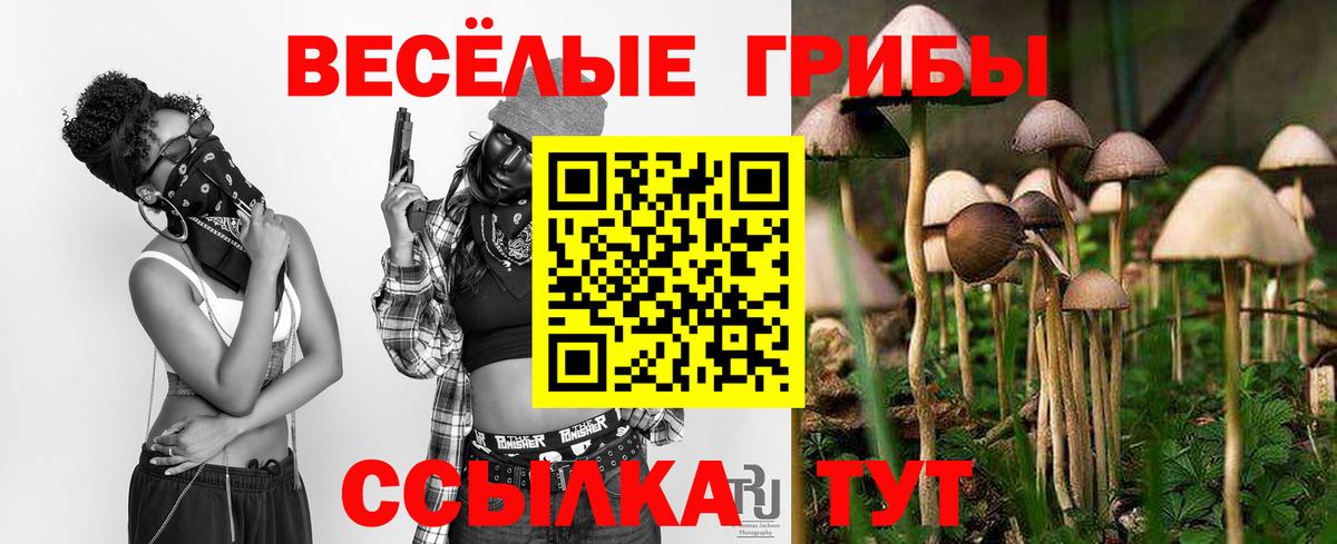 Галлюциногенные грибы Psilocybe Пермь