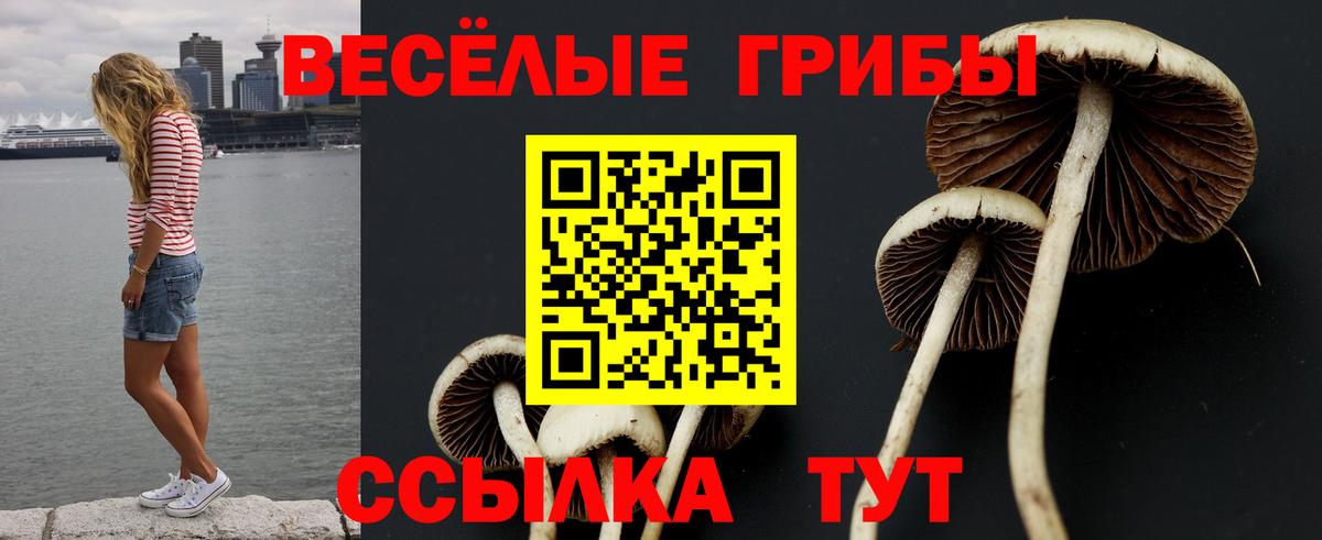Пермь  Галлюциногенные грибы Psilocybe  наркошоп  Галлюциногенные грибы мицелий  Вход с VPN 